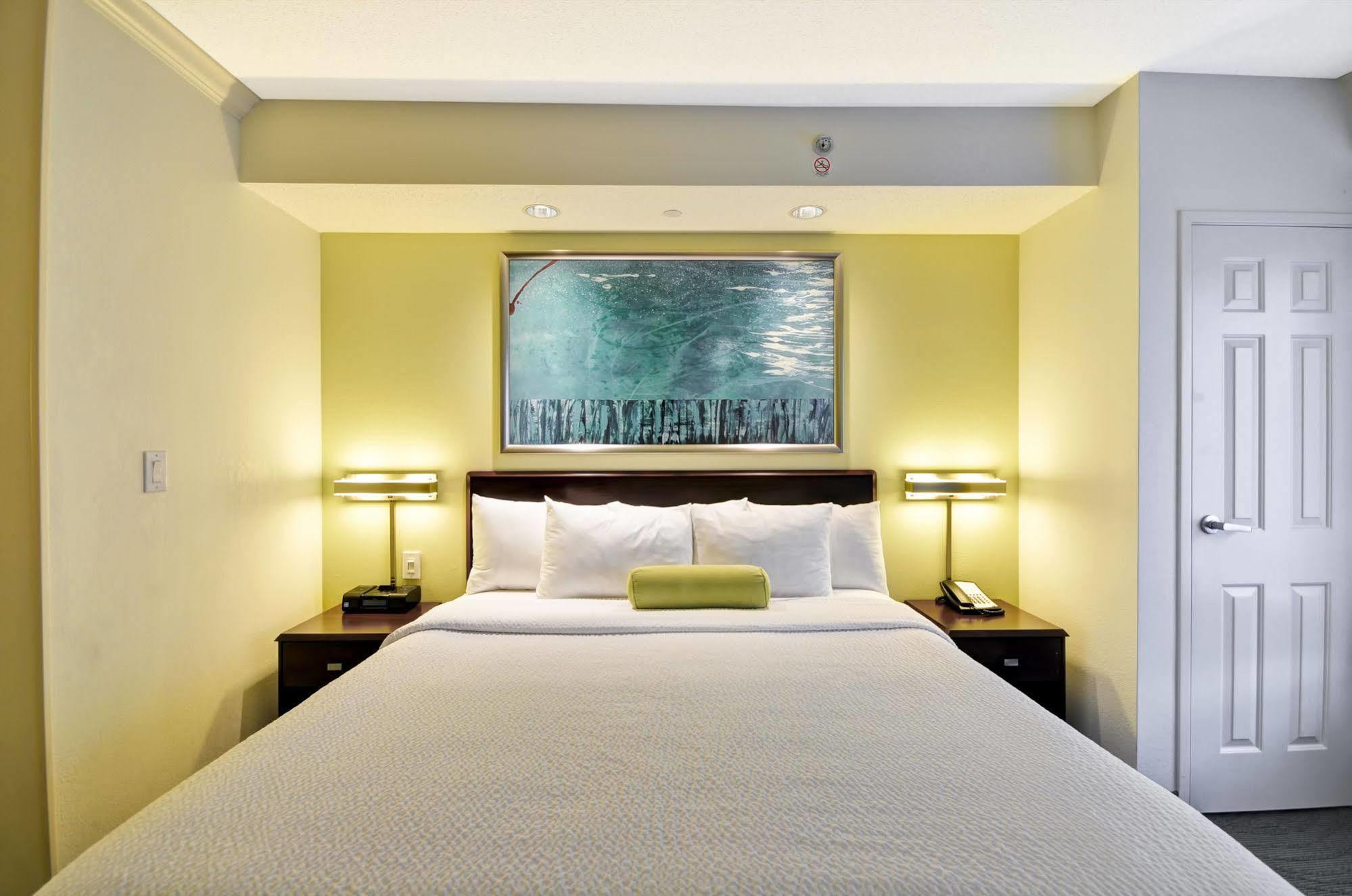 Springhill Suites Lexington Near The University Of Kentucky Eksteriør billede
